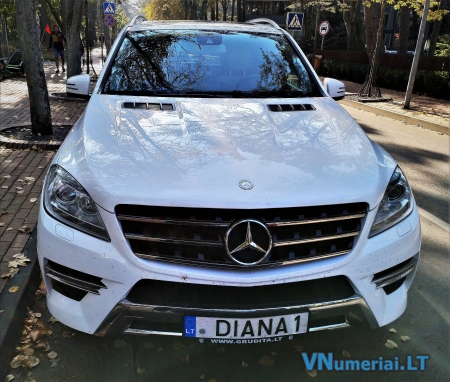 DIANA1