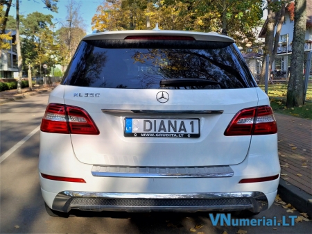 DIANA1