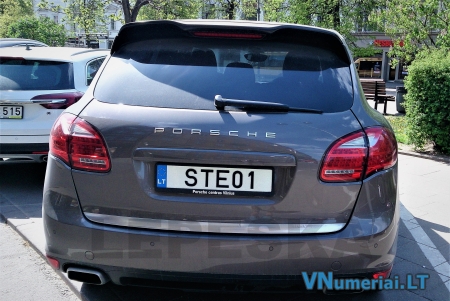STE01