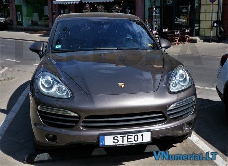 STE01