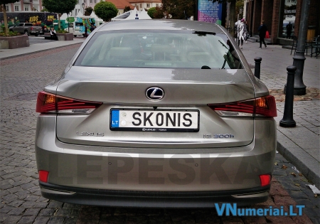 SK0NIS
