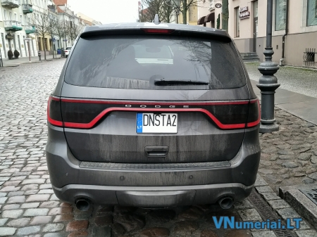 DNSTA2