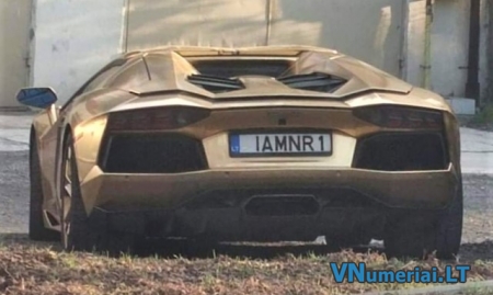 IAMNR1
